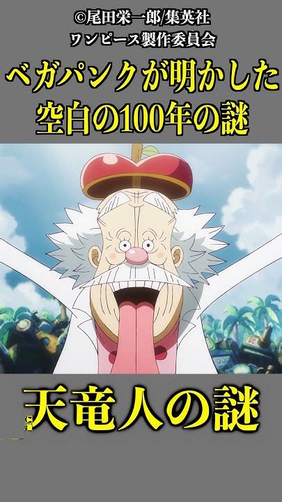 【ワンピース】ベガパンクが明かした、空白の100年と天竜人の謎 ワンピース Onepiece 考察 Youtube