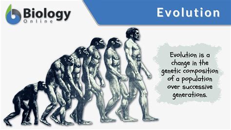 Animal Evolution Examples