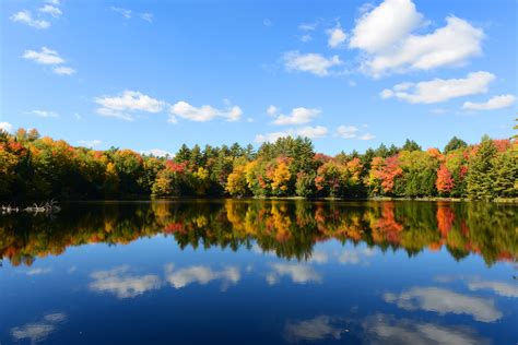 Septic Wastewater Is Transforming Suburban Pond Ecosystems •