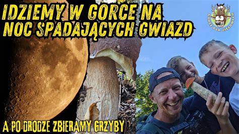 Noc Spadaj Cych Gwiazd Na Gorcza Skiej Polanie Gorce Grzyby