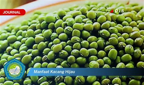 Temukan Manfaat Kacang Hijau Yang Jarang Diketahui