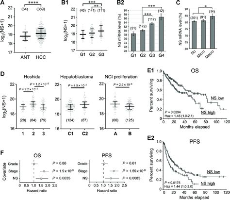 Ns Transcript Level Correlates With Tumor Grade And Predicts Survival