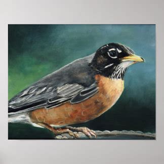 Robin Bird Posters | Zazzle