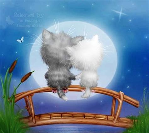 Romantic Good Night Quotes 009 Cats Illustration Cat Art Cute Art