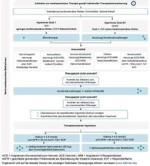 Arterielle Hypertonie Richtig Behandeln