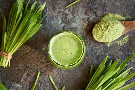 A Glass of Green Barley Grass Juice with Fresh Homegrown Barley Grass ...