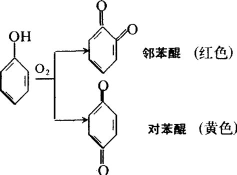 酚的氧化 中学教学百科 百科知识