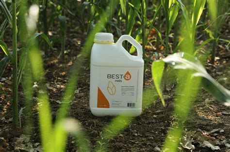 Quattendre du BEST a dElicit Plant cet été Elicit Plant France