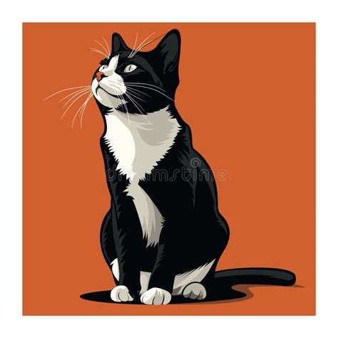 Black White Tuxedo Cat Looking Up Orange Background Feline Attentive