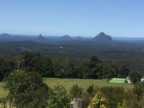 Agents Of Discovery Rainforest Discovery At Mary Cairncross Scenic