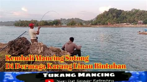 Kembali Mancing Sotong Di Dermaga Karang Linau Bintuhan