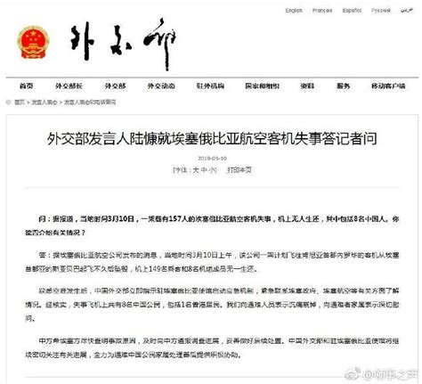 埃航客机坠毁8名中国乘客遇难 外交部深夜回应 凤凰网