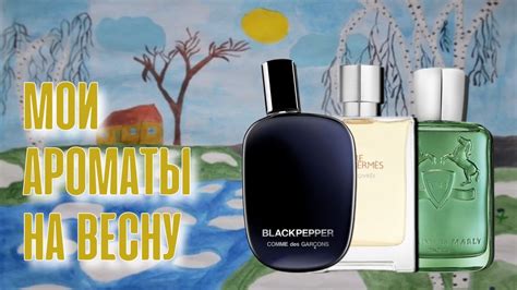 Мои ароматы на весну Comme des Gracons Blackpepper Hermes Eau Givree