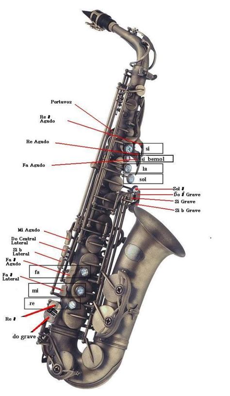 Quieres Aprender A Tocar Saxofon Alto Entra Música Taringa