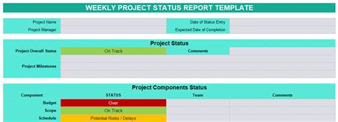 Weekly Project Status Report Template XLS | Project Reporting