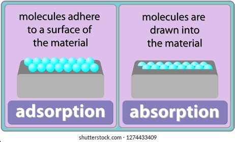 1,398 Adsorption Images, Stock Photos & Vectors | Shutterstock