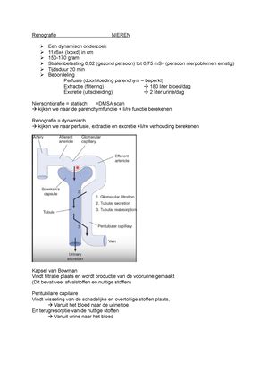 Samenvatting Periode 1 AFF Samenvatting Radiotherapie Maligne Tumoren