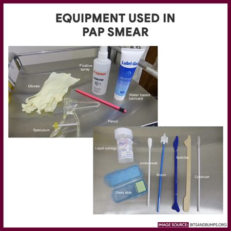 Pap Smear Papanicolaou Smear Nursing Responsibilities Nurseslabs