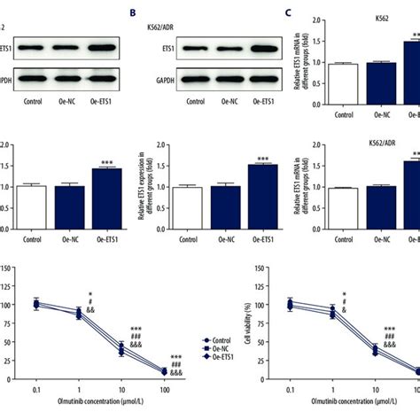 The Cytotoxicity Of Olmutinib On K562 And K562adr Cells Overexpressing Download Scientific