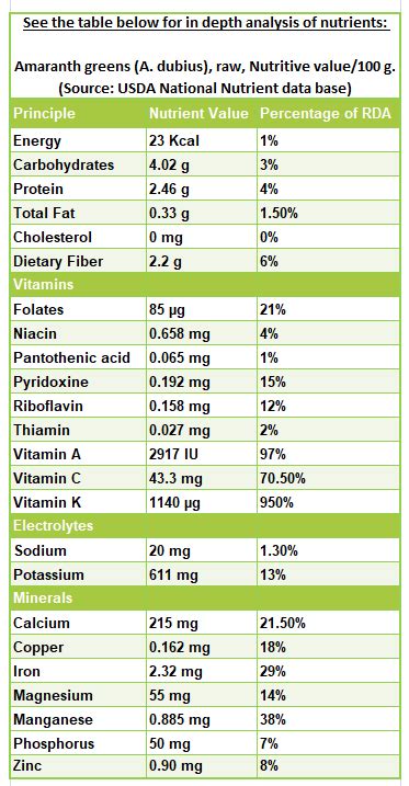 Top 11 Amaranth greens Nutrition facts and Health benefits