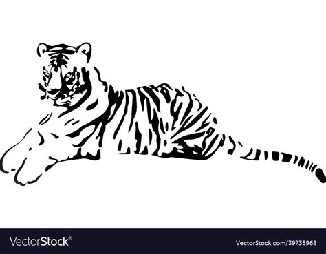 Hand Drawn Lying Tiger Chinese Symbol Of The New Vector Image