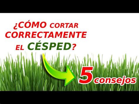 Consejos para cortar el césped sin podadora de manera efectiva