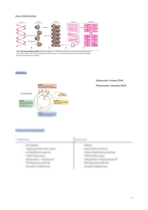 SOLUTION Abitur Biologie Q1 Lernzettel Studypool