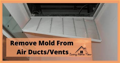 Mold In Air Ducts What Causes It How To Remove It Perfectly