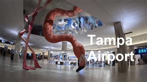 Tampa Airport Walking Tour Airport Car Rental Center To The Main