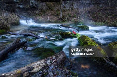 1,535 Sping Stock Photos, High-Res Pictures, and Images - Getty Images