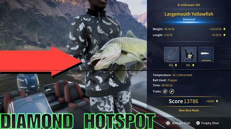 Diamond Largemouth Yellow Fish HOTSPOT South Africa Call Of The