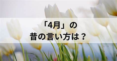 4月の昔の言い方は？和風月名とその他の異名を徹底解説 昔の言い方