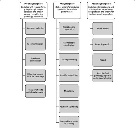 Flowchart Of The Main Steps Of The Preanalytical Analytical And