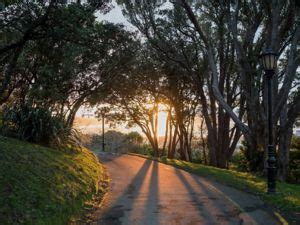 Wellingtons Botanischer Garten Wellington New Zealand