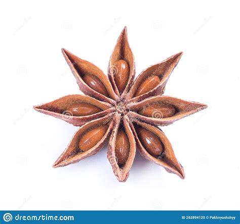 Star Anise Spice Fruits And Seeds Stock Photo Image Of Spice Aroma