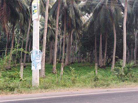 Agricultural Land Cent For Sale In Mummidivaram East Godavari