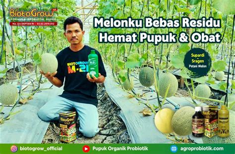 Kelebihan Pupuk Organik Dan Pupuk Hayati Dan Pupuk Kimia