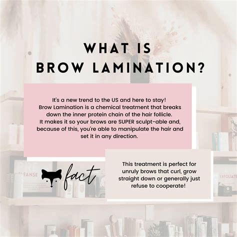 Brow Lamination Aftercare The Do S And Don Ts After The Treatment Artofit