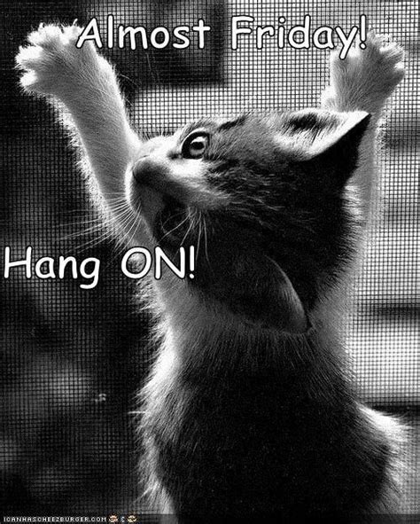 Happy Friday Eve Cat Meme - Uess What It S Friday Eve Chankscats Happy ...