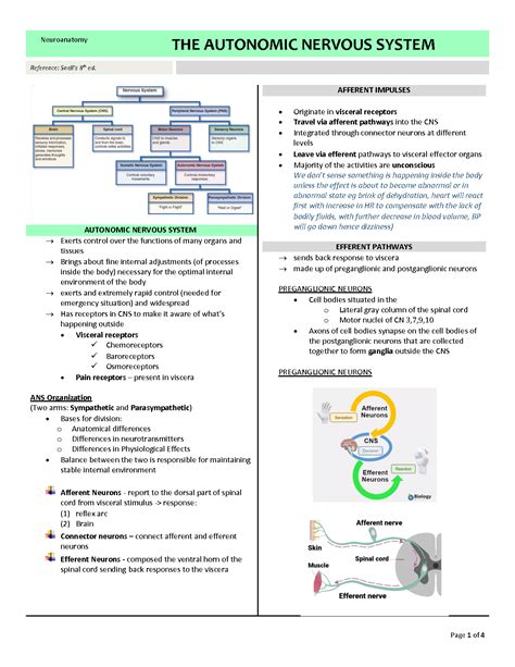 SOLUTION Neuroanatomy Autonomic Nervous System Studypool