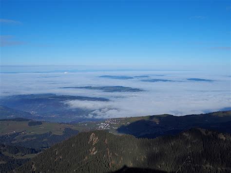 Das Mittelland Liegt Unter Einer Dichten Nebeldecke Fotos Hikr Org