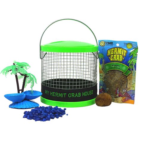 Buy Diy Terrarium Kit Small Hermit Crab Starter Kit With Wire Cage