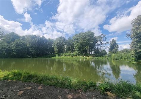 Trout Master Forellenseen Angelpark Sonsbeck