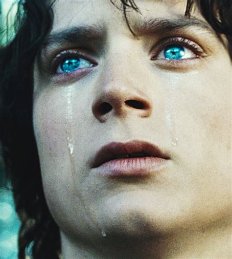 For Frodo Frodo Baggins The Hobbit Lord Of The Rings