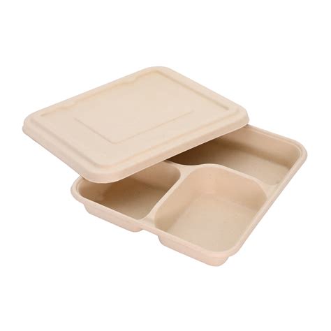 Biodegradable Compostable Customized Paper Pulp Sugarcane Bagasse