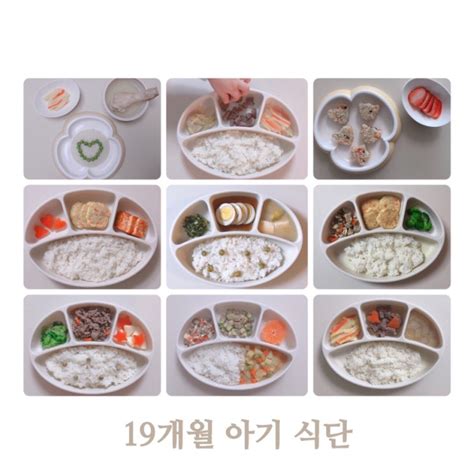 유아식단 19개월 아기반찬 모음 네이버 블로그