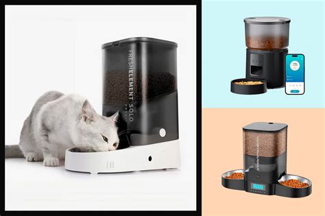 I Migliori Dispenser Automatici Per Il Cibo Del Tuo Gatto