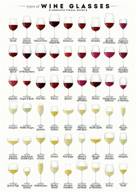 Types of wine glasses - shiplopers