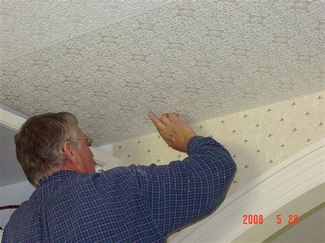 2008-05-28 Kitchen Ceiling006.JPG