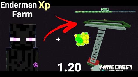 Easy Enderman Xp Farm Unlimited Xp In Minecraft Pe Youtube